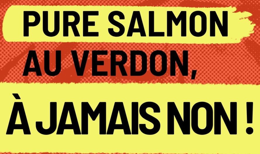 Pure Salmon : on ne se laisse pas mener en bateau !